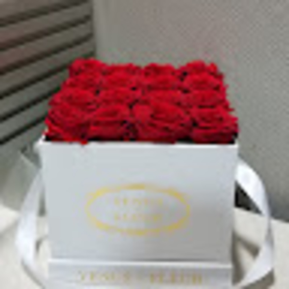 Meet your Posher, Ms.